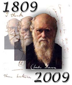 darwin