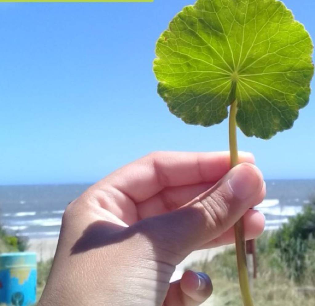 El arte de recordar sin&nbsp;dañar