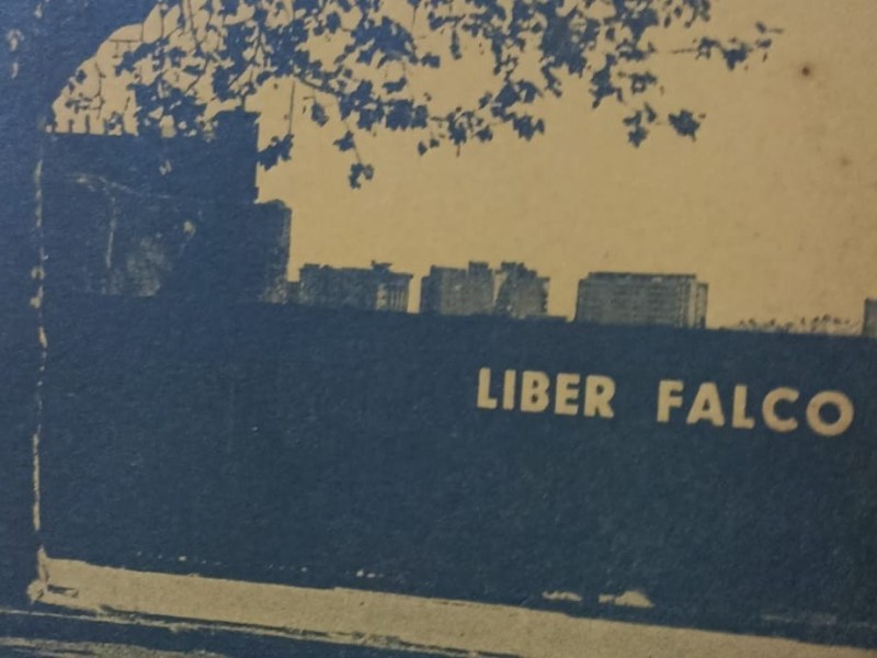 Crónica de un hallazgo entre&nbsp;estantes