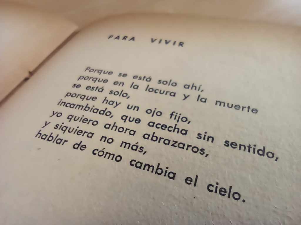 Biografía de un ejemplar: La materia de «Tiempo y&nbsp;Tiempo»